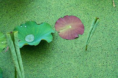 《半条命2 RTX》CES预告片尽显路径追踪魅力